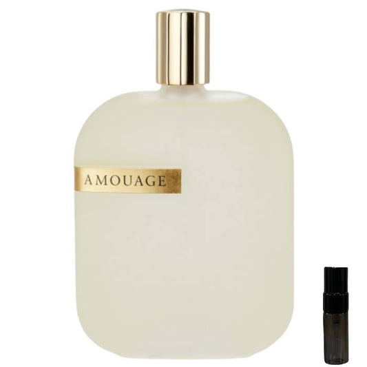 Amouage The Library Collection Opus V - Eau de Parfum - LuxScents.nl