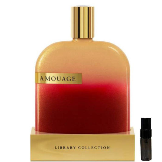 Amouage The Library Collection Opus X - Eau de Parfum - LuxScents.nl