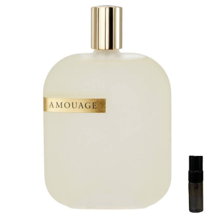 Amouage The Library Collection Opus V - Eau de Parfum - LuxScents.nl