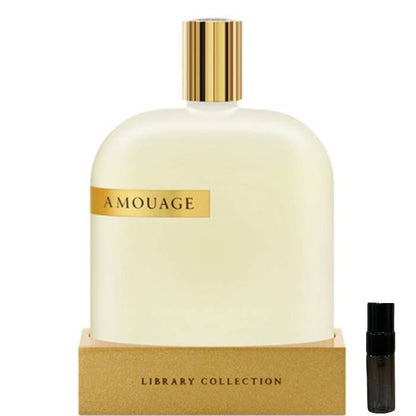 Amouage The Library Collection Opus VI - Eau de Parfum - LuxScents.nl