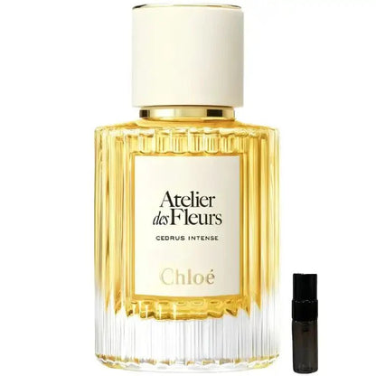 Chloe Cedrus Intense - Eau de Parfum - LuxScents.nl