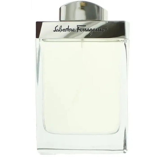 Ferragamo Salvatore Pour Homme - Eau de Toilette - LuxScents.nl